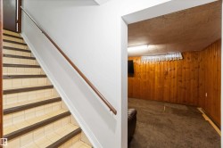 Stairs featuring wooden walls and carpet floors - 