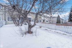 View of snowy yard - 