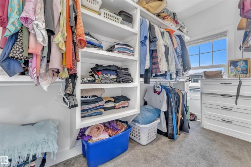 Walk in closet featuring light colored carpet - 1809 18A Avenue, Edmonton, AB - Indoor With Storage
