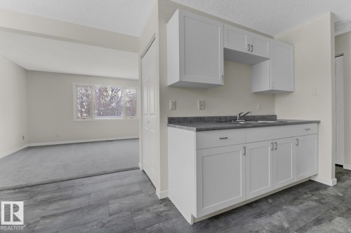 5A Twin Terrace, Edmonton, AB - Indoor Photo Showing Kitchen