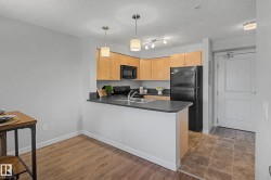 217 3715 WHITELAW Lane  Edmonton, AB T6W 2C3