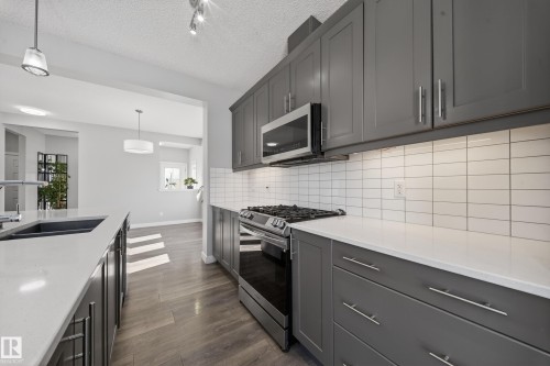 1234 Daniels Crescent, Edmonton, AB - Indoor Photo Showing Kitchen With Double Sink With Upgraded Kitchen