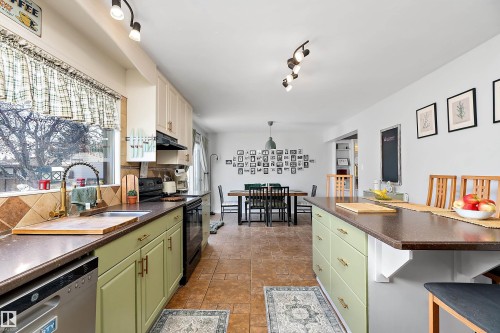 13315 96 Street, Edmonton, AB - Indoor Photo Showing Kitchen With Double Sink