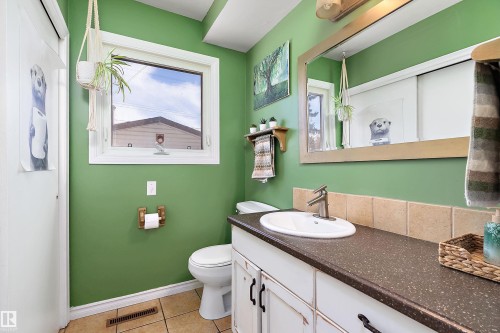 13315 96 Street, Edmonton, AB - Indoor Photo Showing Bathroom