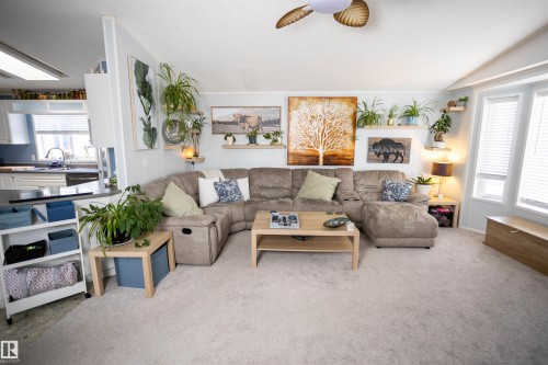 This living space features light-colored carpeting and a ceiling fan - 41 Graywood Cove, Stony Plain, AB - Indoor Photo Showing Living Room
