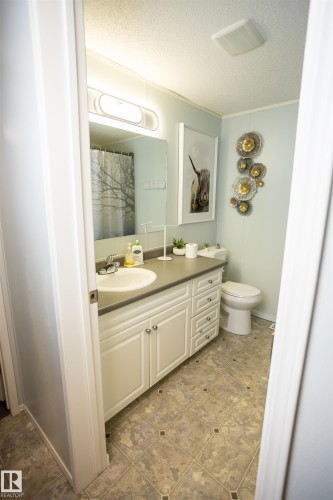 This bathroom features a white vanity with a light gray countertop, a white toilet, and patterned flooring - 41 Graywood Cove, Stony Plain, AB - Indoor Photo Showing Bathroom