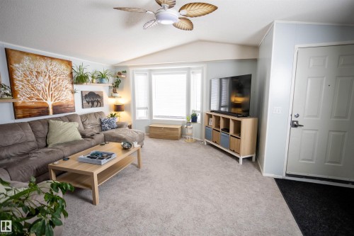 This inviting living area features a vaulted ceiling with a ceiling fan, bay windows, and carpet flooring - 41 Graywood Cove, Stony Plain, AB - Indoor Photo Showing Living Room