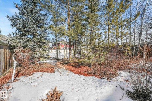 46 Willowdale Place, Stony Plain, AB - Outdoor