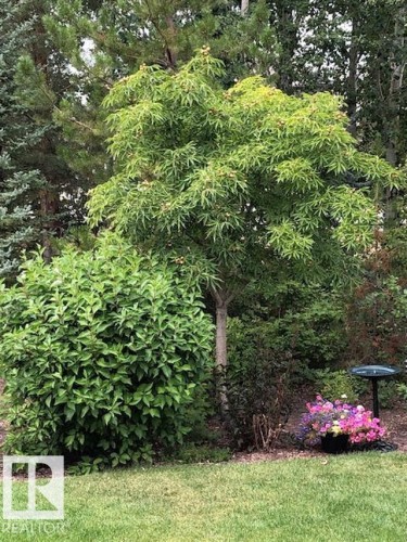 46 Willowdale Place, Stony Plain, AB - Outdoor