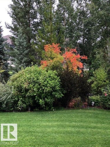 46 Willowdale Place, Stony Plain, AB - Outdoor