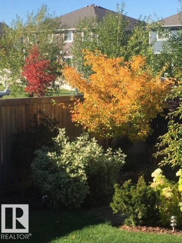 46 Willowdale Place, Stony Plain, AB - Outdoor