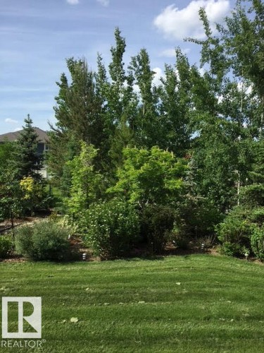 46 Willowdale Place, Stony Plain, AB - Outdoor