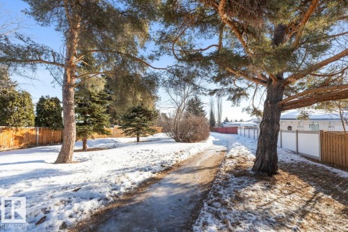 View of yard layered in snow - 14 Lester Crescent, St. Albert, AB - Outdoor