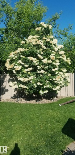 12127 152A Avenue, Edmonton, AB - Outdoor