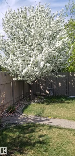 12127 152A Avenue, Edmonton, AB - Outdoor