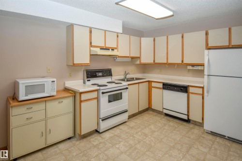102 4812 51 Avenue, Stony Plain, AB - Indoor Photo Showing Kitchen With Double Sink