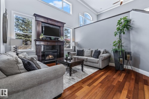 727 107A Street, Edmonton, AB - Indoor Photo Showing Living Room With Fireplace