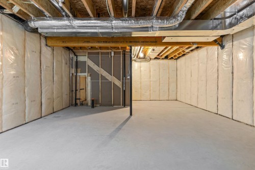 19131 20 Avenue, Edmonton, AB - Indoor Photo Showing Basement
