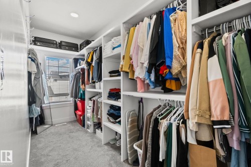 Walk in closet featuring light colored carpet - 1611 158 Street, Edmonton, AB - Indoor With Storage