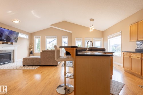8390 Shaske Crescent, Edmonton, AB - Indoor With Fireplace