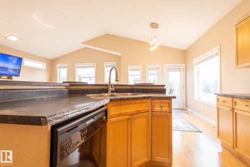8390 Shaske Crescent, Edmonton, AB - Indoor Photo Showing Kitchen With Double Sink