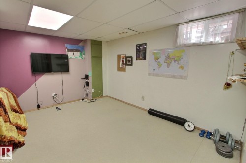 230 Chateau Place, Edmonton, AB - Indoor Photo Showing Basement