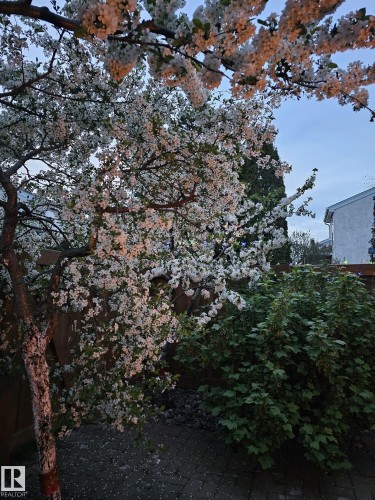 230 Chateau Place, Edmonton, AB - Outdoor