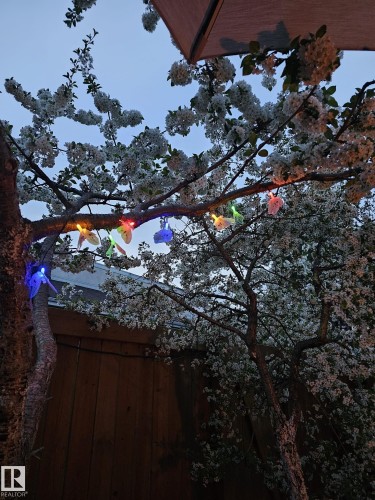 230 Chateau Place, Edmonton, AB - Outdoor With View