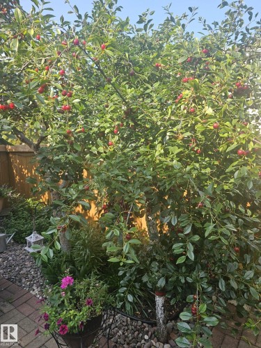 230 Chateau Place, Edmonton, AB - Outdoor