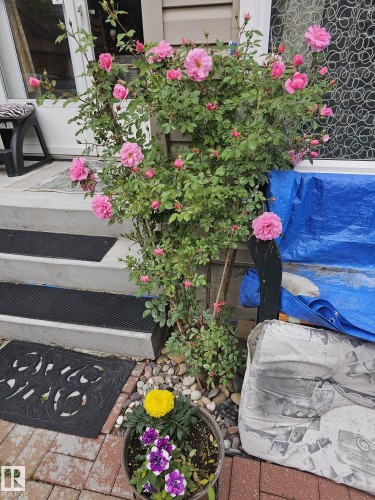 230 Chateau Place, Edmonton, AB - Outdoor