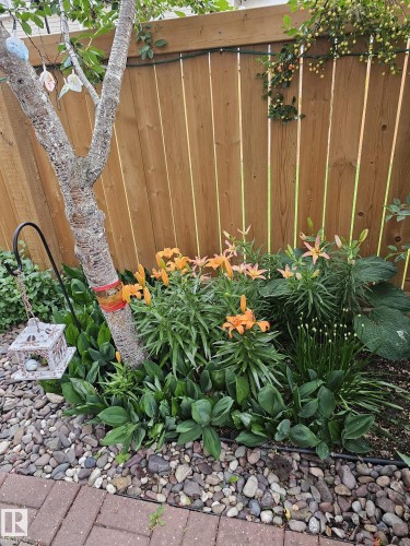 230 Chateau Place, Edmonton, AB - Outdoor