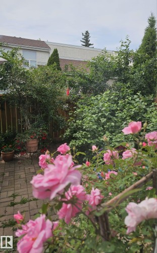 230 Chateau Place, Edmonton, AB - Outdoor