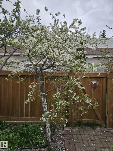 230 Chateau Place, Edmonton, AB - Outdoor