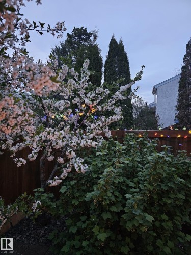 230 Chateau Place, Edmonton, AB - Outdoor