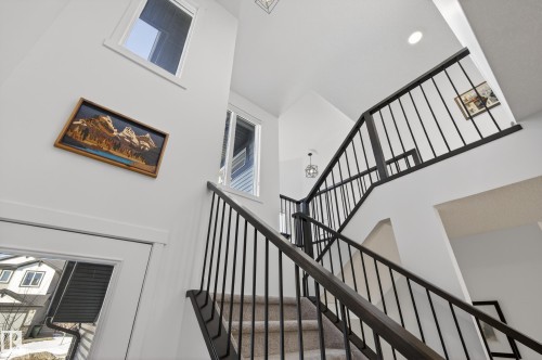 Stairs featuring plenty of natural light, a high ceiling, and hanging lights - 9727 205 Street, Edmonton, AB - Indoor Photo Showing Other Room