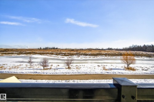 View of yard - 9727 205 Street, Edmonton, AB - Outdoor With View