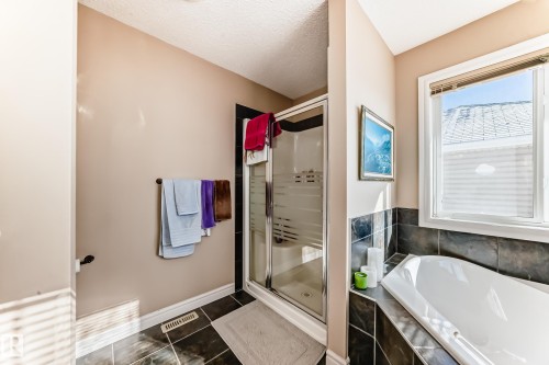 3711 163 Avenue, Edmonton, AB - Indoor Photo Showing Bathroom
