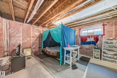 3711 163 Avenue, Edmonton, AB - Indoor Photo Showing Basement