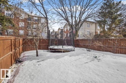 The property features a fenced yard with a wooden fence and a visible tree - 6 6410 134 Avenue Nw, Edmonton, AB - Outdoor