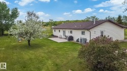 Expansive backyard featuring a manicured lawn, a mature flowering tree, and a concrete patio - 