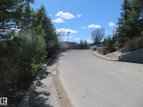 Paved access road bordered by mature evergreen trees and a concrete curb - 415 2590 Anderson Way, Edmonton, AB - Outdoor With View