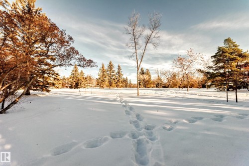 7809 116 Street, Edmonton, AB - Outdoor With View