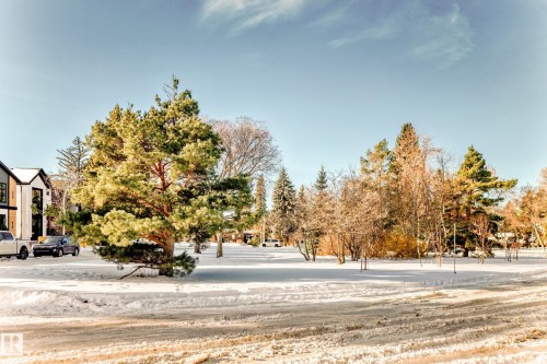 7809 116 Street, Edmonton, AB - Outdoor With View