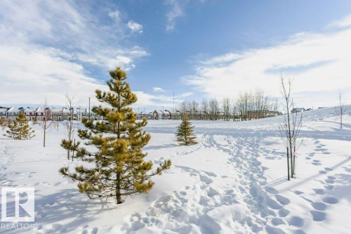 839 34 Av, Edmonton, AB - Outdoor With View