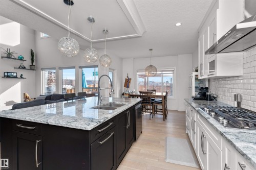 2009 Blue Jay Crest, Edmonton, AB - Indoor Photo Showing Kitchen With Double Sink With Upgraded Kitchen