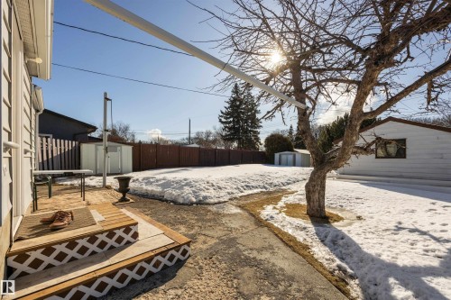 Fenced yard with two sheds and single detached garage. - 4209 116 Avenue, Edmonton, AB - Outdoor