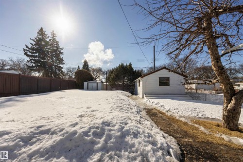 Fenced yard with two sheds and single detached garage. - 4209 116 Avenue, Edmonton, AB - Outdoor