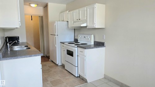 202 10826 113 Street Nw, Edmonton, AB - Indoor Photo Showing Kitchen With Double Sink