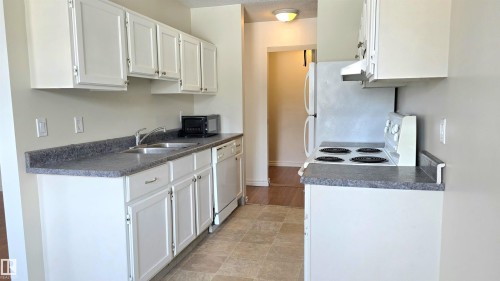 202 10826 113 Street Nw, Edmonton, AB - Indoor Photo Showing Kitchen With Double Sink