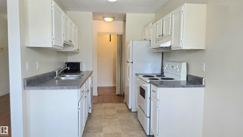 202 10826 113 Street Nw, Edmonton, AB - Indoor Photo Showing Kitchen With Double Sink